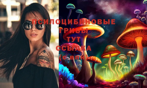тгк Алзамай