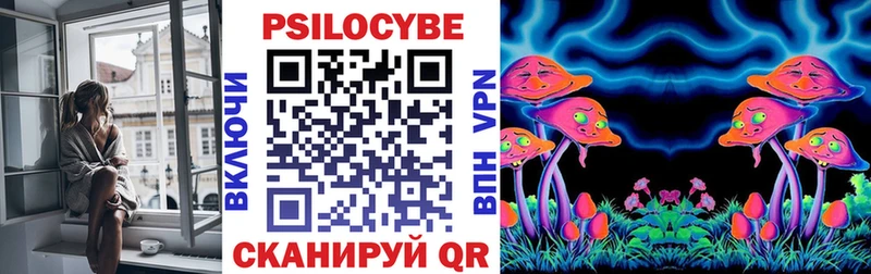 Галлюциногенные грибы Psilocybe  закладки  Добрянка 